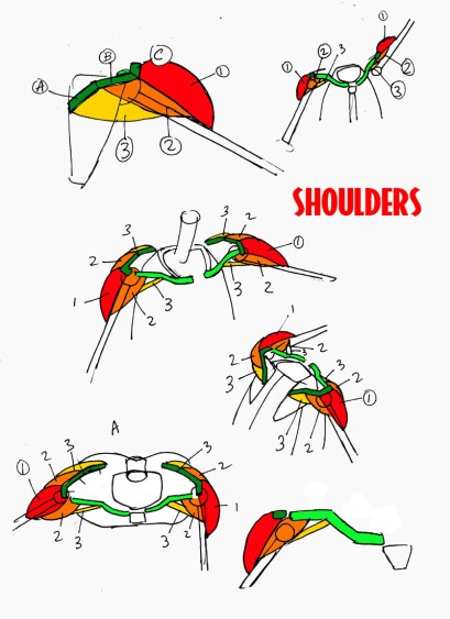 00 shoulders websize
